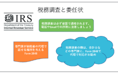 IRSについて