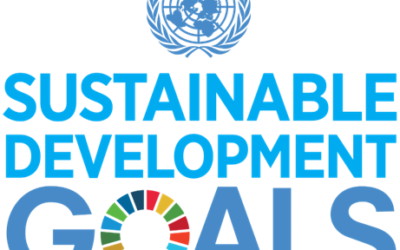 SDGsという言葉をご存じですか？